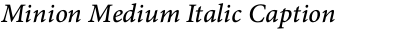 Minion Medium Italic Caption